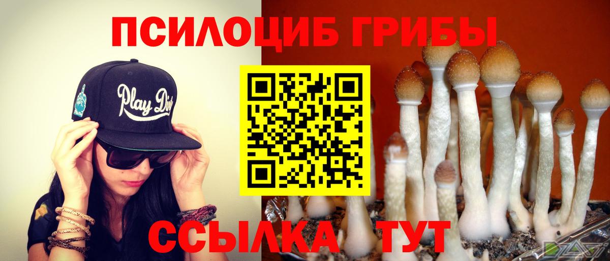 Псилоцибиновые грибы Magic Shrooms  Вход с VPN  Калининград 